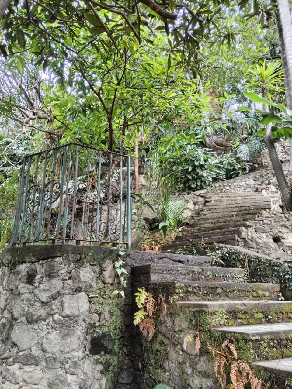 Palmira Cuernavaca Exterior foto